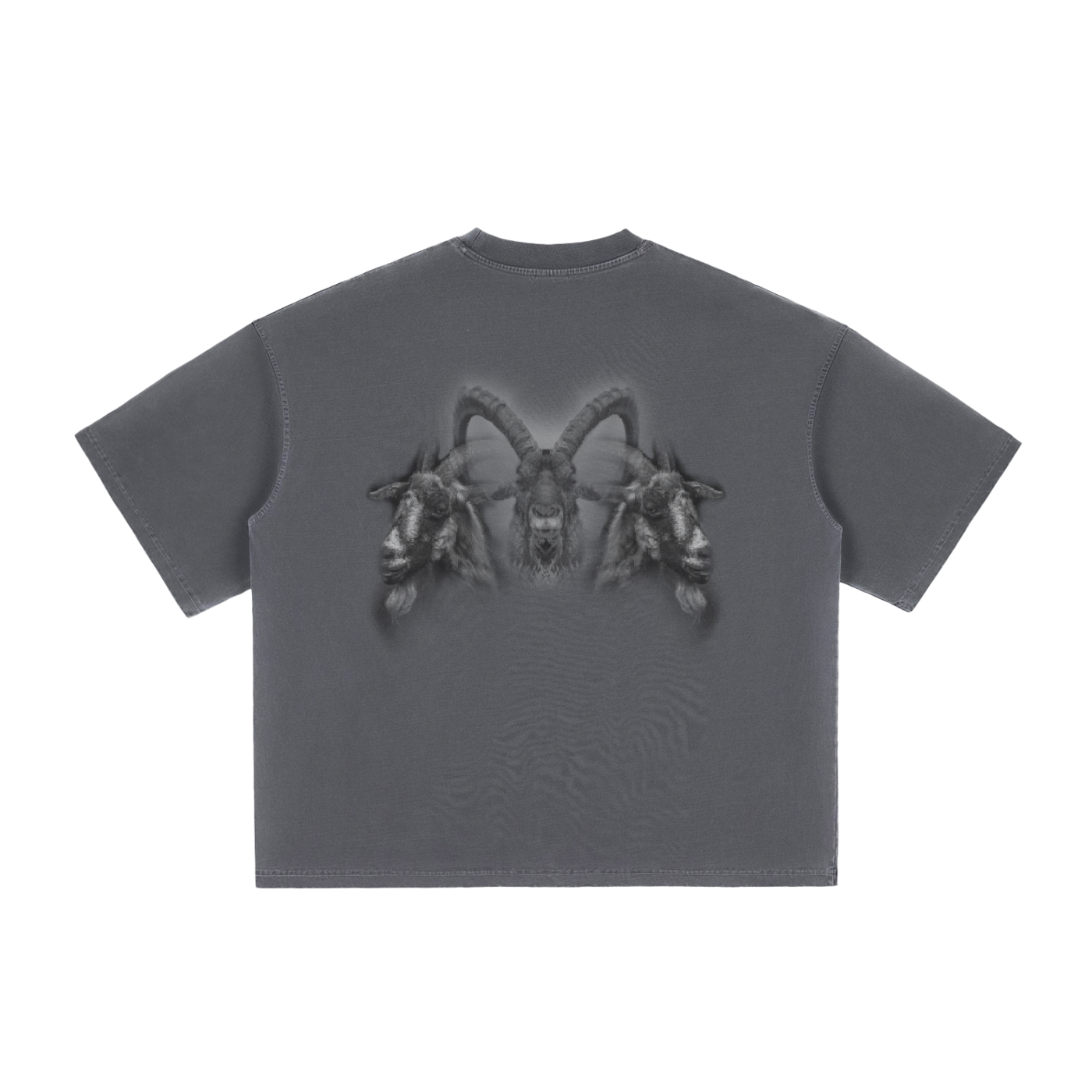 Goats Washed Boxy T-Shirt